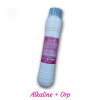 Inline GA U Alkaline + ORP