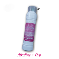 Inline GA U Alkaline + ORP 8"